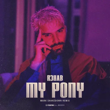 My Pony (Mark Shakedown remix)