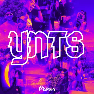 YNTS