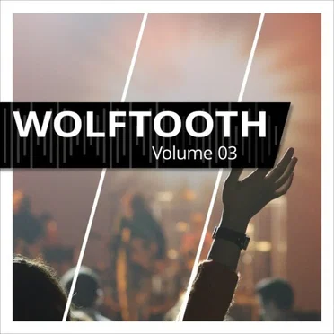 Volume 03 by Wolftooth - album cover