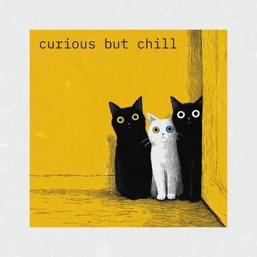 curious but chill by Monday Night Book Club - album cover