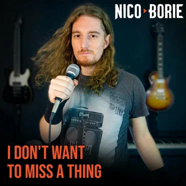 I Don't Want to Miss a Thing