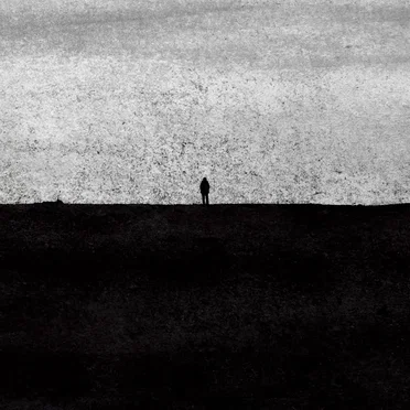 The Borderline between Hope and Despair by 이상의 날개 - album cover