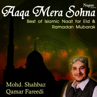 Shahbaz Qamar Fareedi