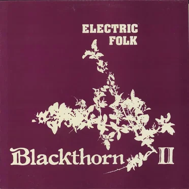 II Electric Folk