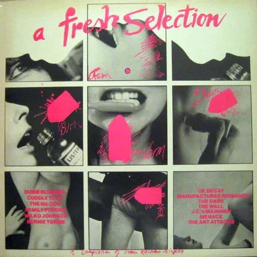 A Fresh Selection by Various Artists - album cover