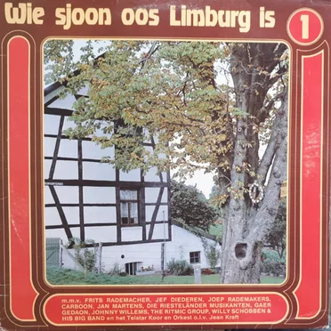Wie sjoon oos Limburg is, 1 by Various Artists - album cover