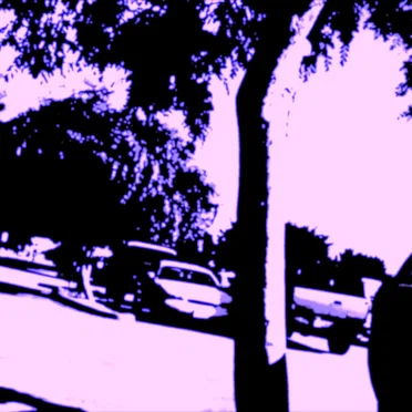 Dying Car Alarm (extended version)