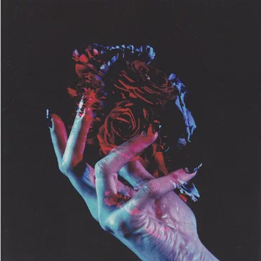 Van Damsel by Van Damsel - album cover