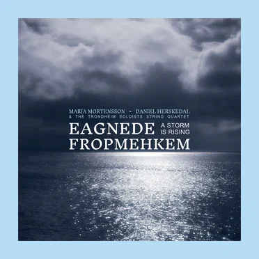 Eagnede fropmehkem - A Storm Is Rising
