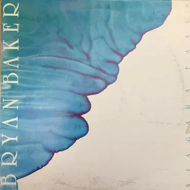 Niagara Falls by Bryan Baker - album cover