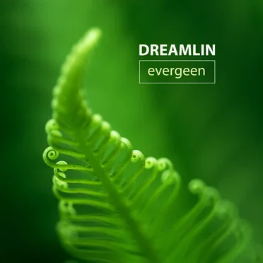 Dreamlin