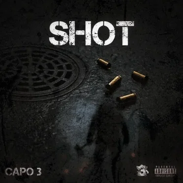 Shot