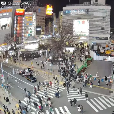 【LIVE(固定)】新宿猫の目線（新宿駅東口） ライブカメラ 195 watching now Started streaming on Nov 30, 2021