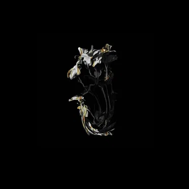 Des Strebens Einzelner by Tristis - album cover