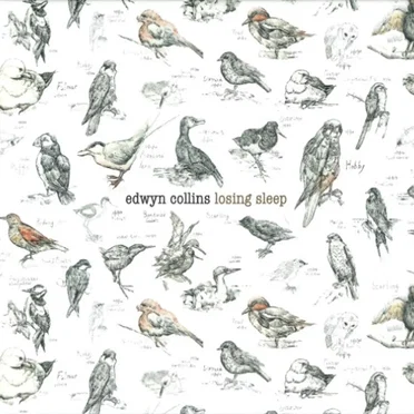 Losing Sleep
