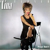Tina Turner artist image