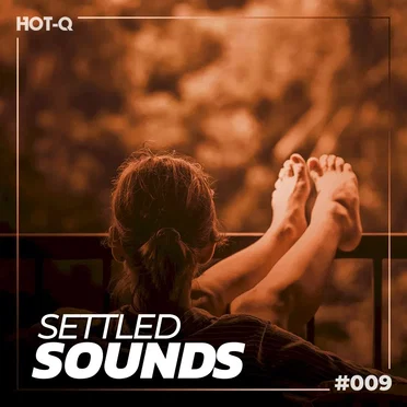 Settled Sounds 009 by Various Artists - album cover