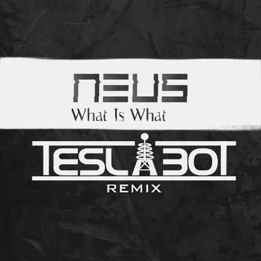 What Is What (TeslaBot remix) by TeslaBot - album cover