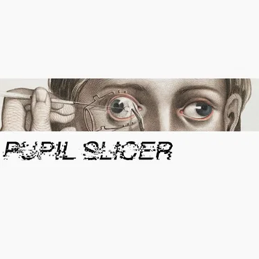 Pupil Slicer