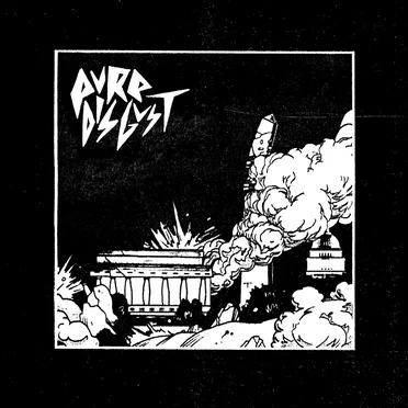 Pure Disgust by Pure Disgust - album cover