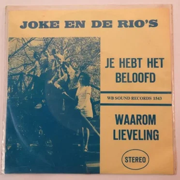 Je hebt het beloofd by Joke & De Rio's - album cover