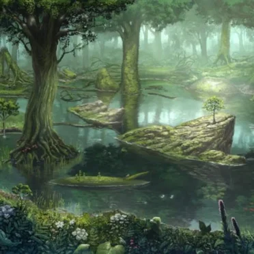 A Forests Purpose