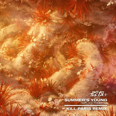 Summer's Young (Kill Paris remix)
