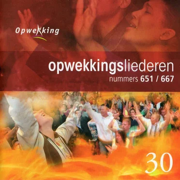 Stichting Opwekking