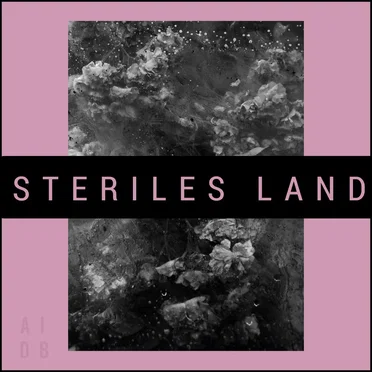 Steriles Land by Allein in Der Badewanne - album cover