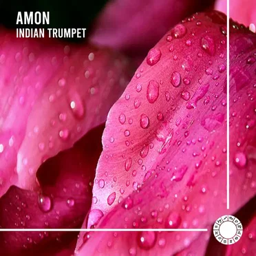 Indian Trumpet by Amon - album cover