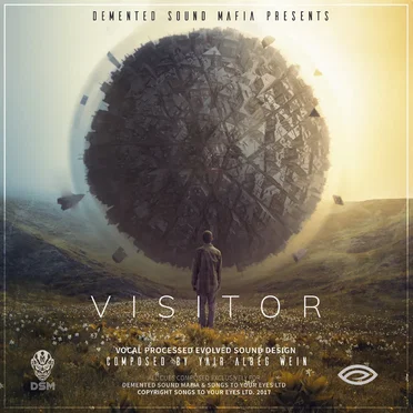 Visitor by Demented Sound Mafia - album cover