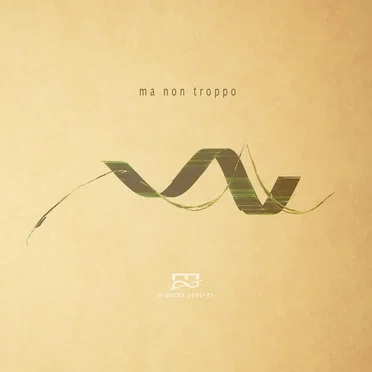 Ma Non Troppo by Bernard Reeb - album cover
