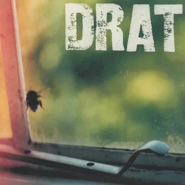 Drat by Drat - album cover