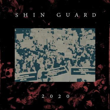 2020 by Shin Guard - album cover