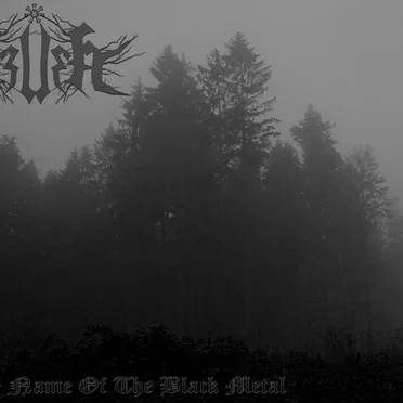 In the Name of the Black Metal by Dzvera - album cover