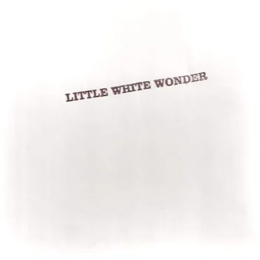 Little White Wonder by The Pooh Sticks - album cover