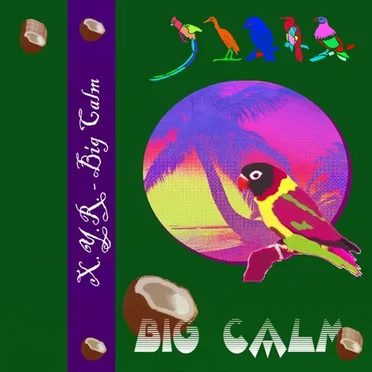 Big Calm by X.Y.R. - album cover