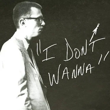 I Don't Wanna by Henry Flynt & The Insurrections - album cover
