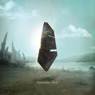 Raw by Sonority - album cover
