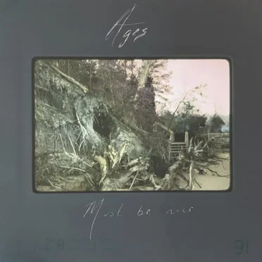 Must Be Nice by Ages - album cover