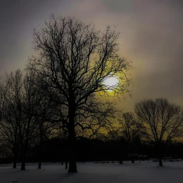 Nordic Drifts (Extended)