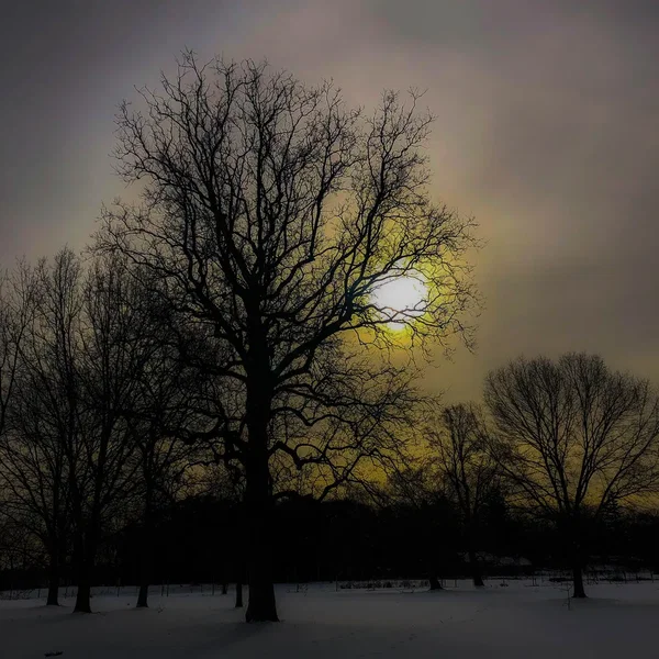 Nordic Drifts (Extended)