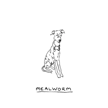 mealworm by mealworm - album cover