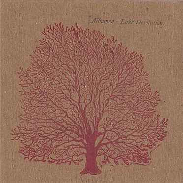 Lake Desolation by Albumen - album cover