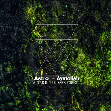 Altar in the Dark Forest