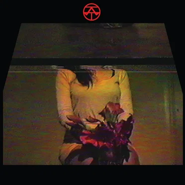 Trust in Pain by Shadowlust - album cover