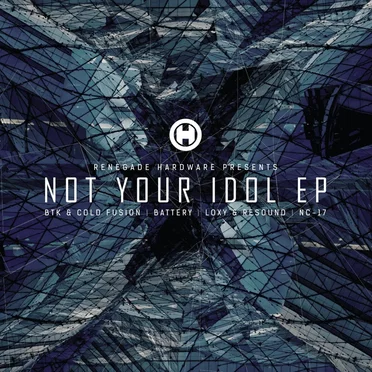 Not Your Idol EP by Various Artists - album cover