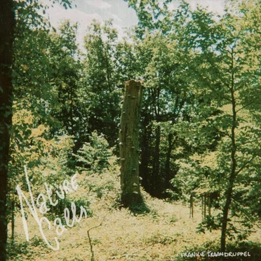 Nature Calls by Frankie Traandruppel - album cover