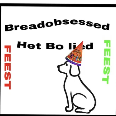 Het Bo Feest Lied!