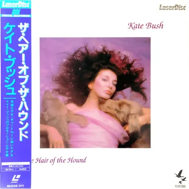 The Hair of the Hound